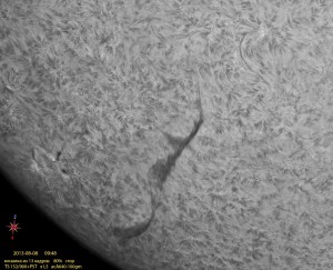 Sun-Ha_130808_acA640-100gm_094818_Ha_80%_crop_BW.jpg