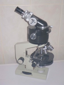 PZO_BIOLAM.JPG