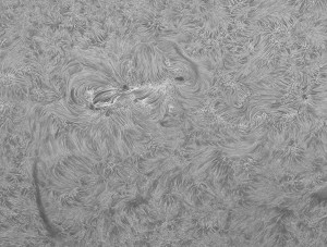 Sun-Ha_130812_acA640-100gm_094244_Ha_22Fr_x1,5_BW_crop2_100%.jpg