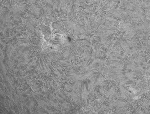 Sun-Ha_130812_acA640-100gm_094244_Ha_22Fr_x1,5_BW_crop1_100%.jpg
