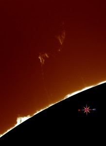 Sun-Ha_130814_acA640-100gm_092752_prot_color.jpg