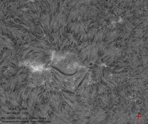 Sun-Ha_130825_acA640-100gm_111338_4Fr_x1,5_crop.jpg