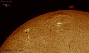 Sun-Ha_130826_acA640-100gm_094608_15Fr_x1,5_45%_color.jpg