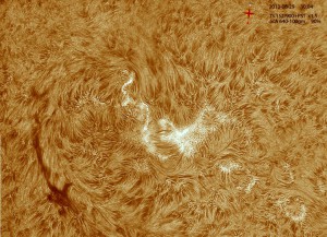 Sun-Ha_130829_acA640-100gm_100423_4Fr_x1,5_color.jpg
