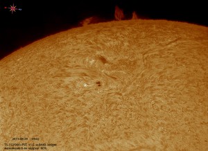 Sun-Ha_130829_acA640-100gm_094151_6Fr_x1,5_color_60%.jpg