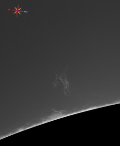 Sun-Ha_130906_acA640-100gm_095948_.jpg