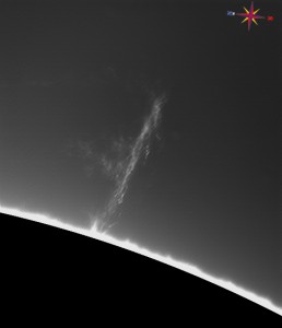 Sun-Ha_130909_acA640-100gm_095137_.jpg