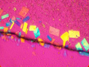 100_2765_2.jpg