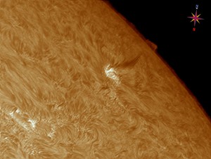 Sun-Ha_130926_acA640-100gm_125037_x1,5_color.jpg