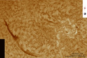Sun-Ha_130926_acA640-100gm_120906_9Fr_x1,5_color_60%.jpg