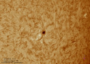 Sun-Ha_130926_acA640-100gm_111754_4Fr_x1,5_color_75%.jpg