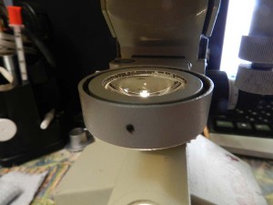 DSCN1835.JPG