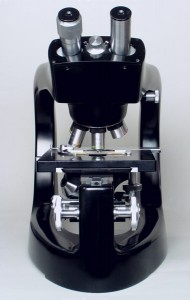 F03.JPG