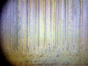 Biolam Pol 41.jpg
