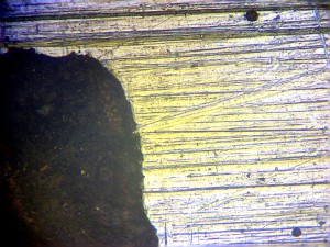 Biolam Pol 40.jpg