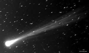 2012S1_20131116.jpg