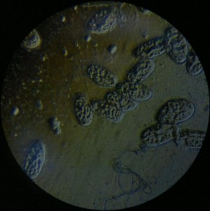 22112013306.jpg