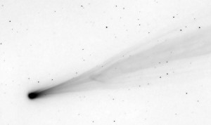 ISON_21112013_JosephBrimacombe_invert_900bw.jpg