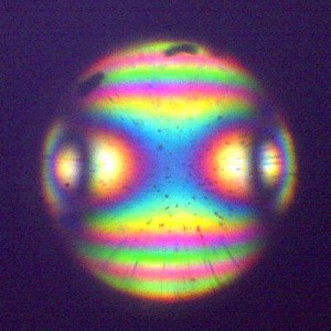 Biolam Pol 49.JPG