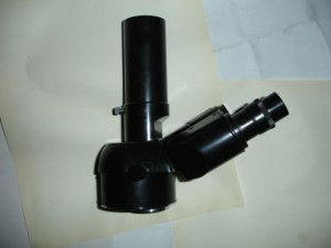 DSC03529.JPG