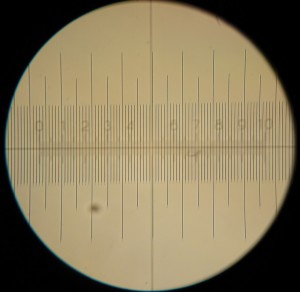 P1090550_1.jpg
