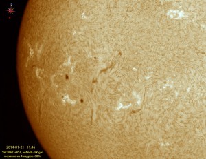 Sun-Ha_2014_01_21_3_114632_4Fr-color_60%.jpg