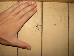IMG_8462.jpg