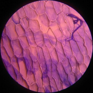 22012014370.jpg