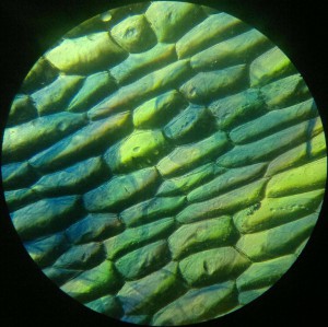 22012014374.jpg