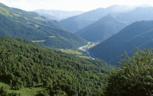 image004.gif