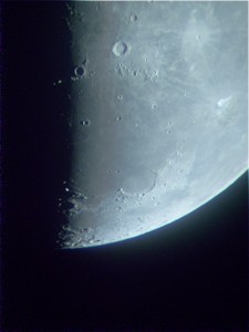 S7301811.jpg