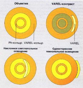 image11.jpg