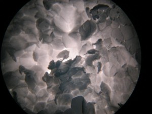IMG_1684.jpg
