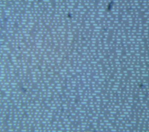 P1100574-1_1.jpg