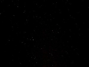 P1000872.JPG