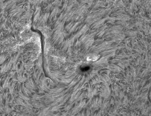 Sun-Ha_2014_03_16_DMx-31AU03AS__091544_crop_BW.jpg
