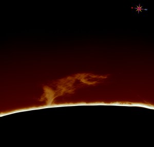 Sun-Ha_2014_03_20_DMx-31AU03AS_x2_102042_prot_color.jpg