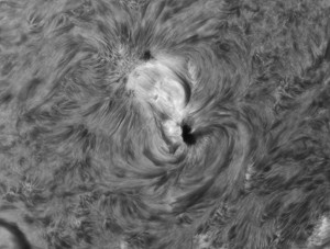 Sun-Ha_2014_03_20_DMx-31AU03AS__103859_x2.jpg