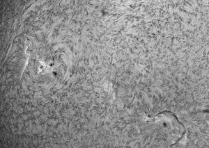 Sun-Ha_2014_03_22_DMx-31AU03AS__103333_4Fr_BW_50%.jpg