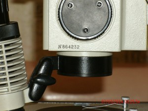 GEDC0176_1024x768.jpg