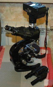 DSC_1672.jpg-1.jpg