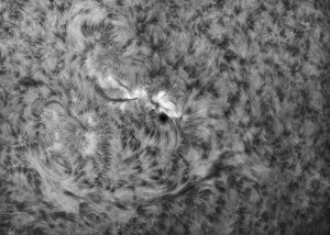 Sun-Ha_2014_03_29_DMx-31AU03AS_094312_x2_4Fr_50%.jpg