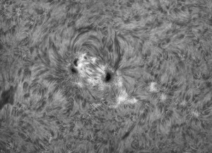 Sun-Ha_2014_04_01_DMx-31AU03AS_100648_4Fr_60%.jpg