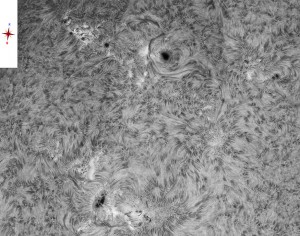 Sun-Ha_2014_04_04_DMx-31AU03AS_100431_x2_9Fr_35%tif.jpg