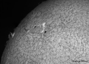 Sun-Ha_2014_04_10_DMx-31AU03AS_100450_4Fr_50%.jpg