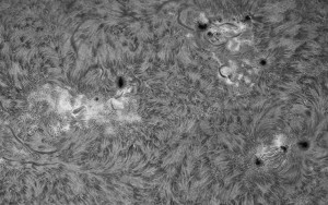 Sun-Ha_2014_04_17_DMx-31AU03AS_115554_6Fr_crop_60%.jpg