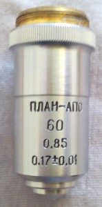 опа4.JPG