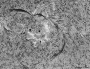 Sun-Ha_2014_04_19_DMx-31AU03AS_20_102754_[x2_4Fr_1.jpg