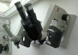 2014-04-22-287.jpg
