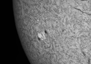 Sun-Ha_2014_04_29_acA640-100gm_11_093729_4Fr_80%.jpg